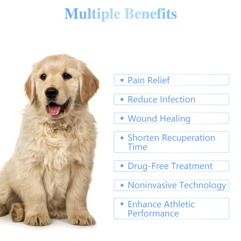 KTS Pet Handheld Cold Laser Therapy Device