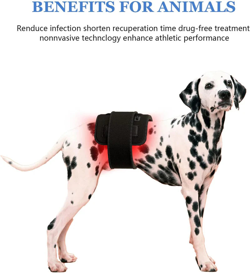 LED Infrared&Red Light Therapy Belt Device