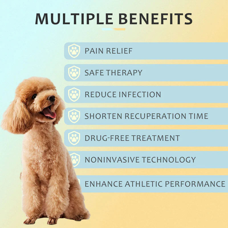 KTS Pet Cold Laser Therapy Device