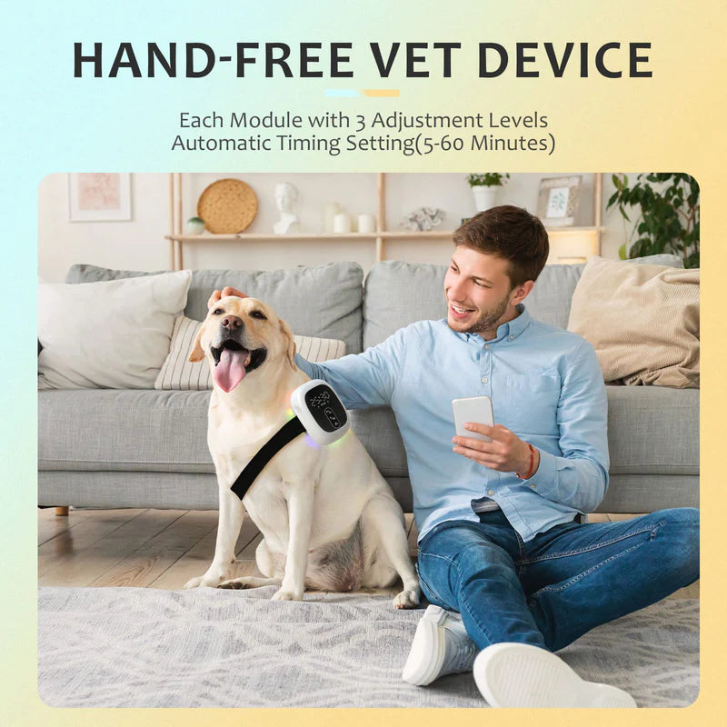 KTS Pet Cold Laser Therapy Device