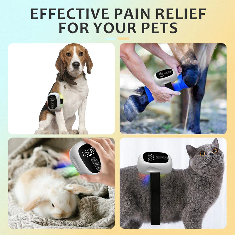 KTS Pet Cold Laser Therapy Device