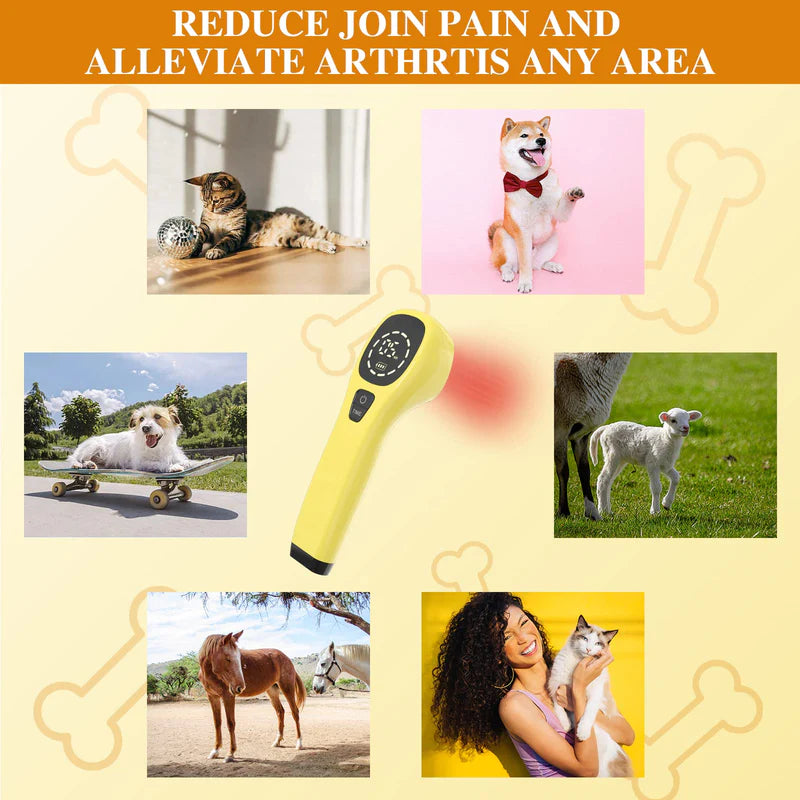KTS Pet Handheld Cold Laser Therapy Device