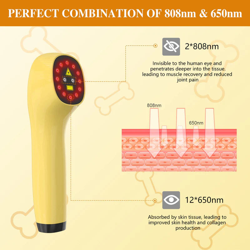 KTS Pet Handheld Cold Laser Therapy Device