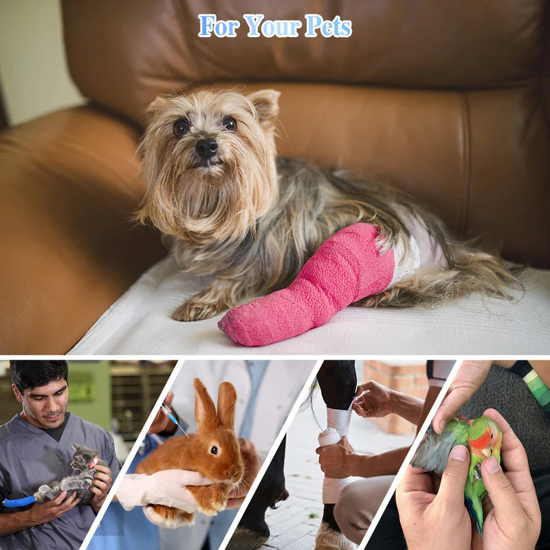 KTS Pet Handheld Cold Laser Therapy Device