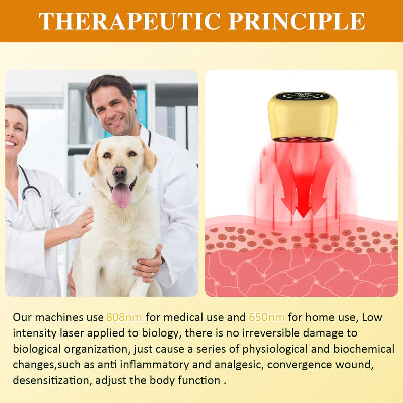 KTS Pet Handheld Cold Laser Therapy Device